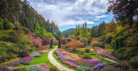 Butchart Gardens Private Tours Fasci Garden