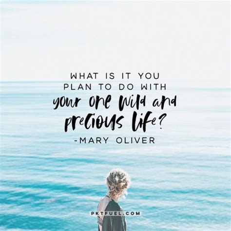 Your One Wild And Precious Life The Time Series On Mary Oliver