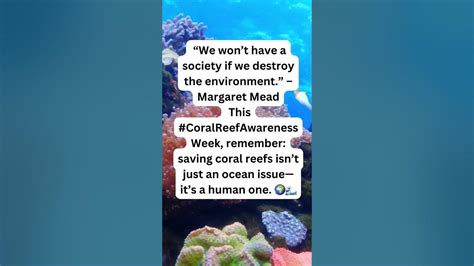 coral reef awareness week youtube
