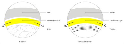 expert advice multi directional impact protection system mips arco