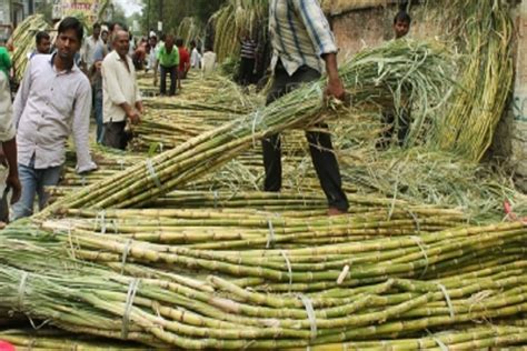 Centre Provides Additional Allotment Of Lmt Sugar In Domestic Quota