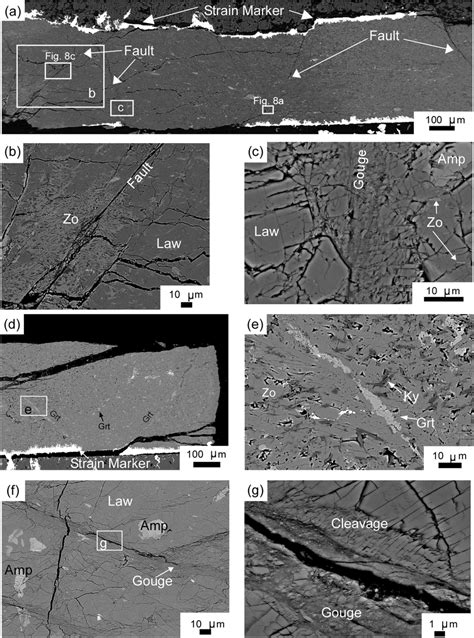 Representative Microstructures Within Deformed Samples In All Cases