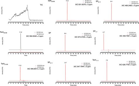 Total Ion Chromatograms TIC And Specific Extracted Ion Chromatograms