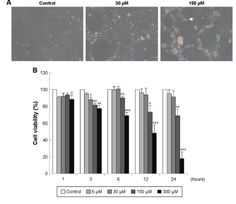 Figure 1 From Midazolam Activates Caspase Mapks And Endoplasmic Reticulum Stress Pathways And