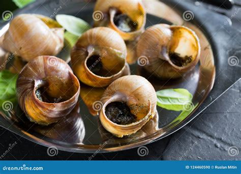 Escargot. Burgundy Snails with Garlic Butter Stock Photo - Image of french, dish: 124460590