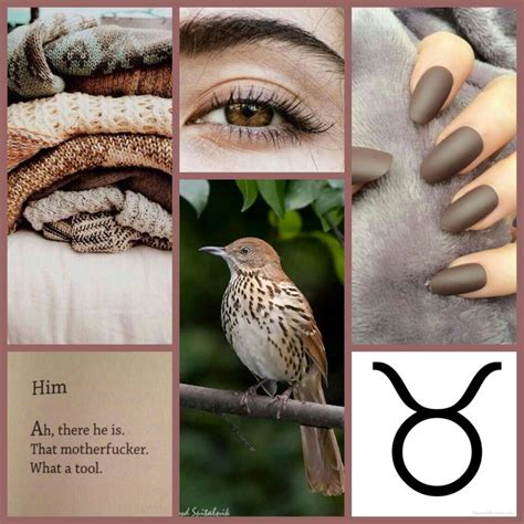 My Taurus Edit Check This Board For Other Sun Sign Aesthetics Taurus