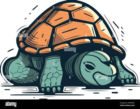 Turtle Vector Illustration Of A Tortoise Cartoon Style Stock Vector Image And Art Alamy