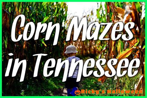 Corn Mazes In Tennessee Get Lost In Fun