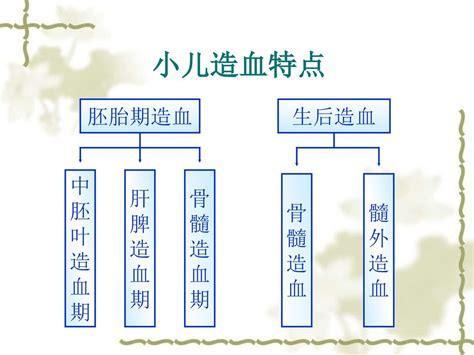 小儿造血系统疾病患儿 的护理 泸州医学院附属医院 儿科 白永旗 ppt download