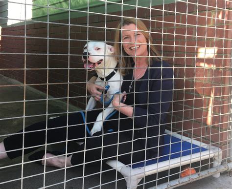 ABC Perth - If you've adopted, tell us why a rescue dog is...