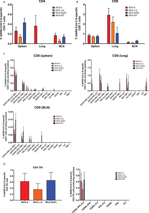 Frontiers Intranasal Administration Of A Single Dose Of Mva Based