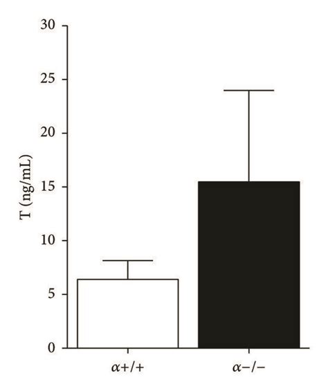 Delayed Puberty Onset In Male α−− Mice Ap2 Crep110αflxflx Are