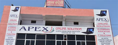 Apex Online Solution In The City Faridabad