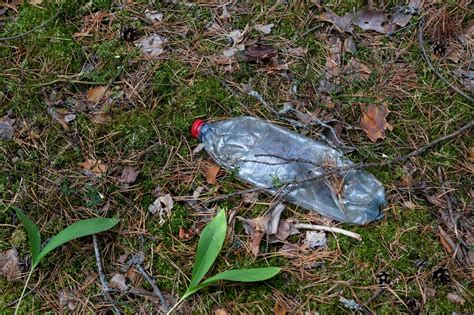 Ordures Ménagères Dans Le Déboisement Bouteille En Plastique Usagée