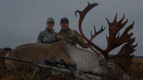 Trophy Woodland Caribou Woodland Caribou Hunting Newfoundland Canada