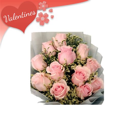 12 Pink Ecuadorian Roses Bouquet - Raphaels Gifts