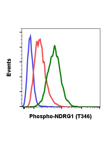 Phospho Ndrg Thr F Rabbit Mab Pe Conjugate Abwiz Bio