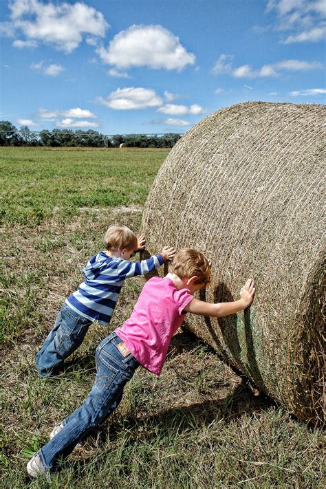 Free Images Working Landscape Nature Outdoor People Hay Field