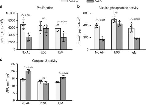 E06 Prevents The Effects Of Oxldl On Osteoblast Apoptosis