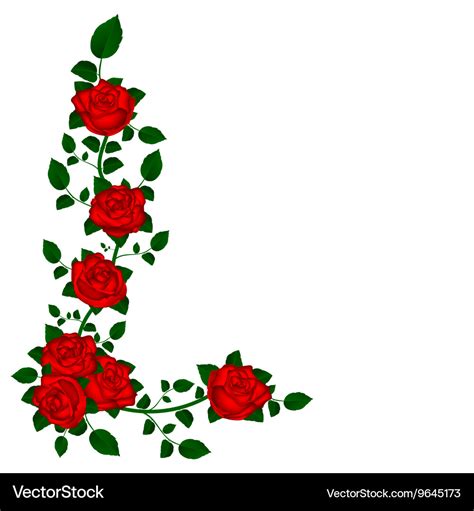 Vine of red roses Royalty Free Vector Image - VectorStock