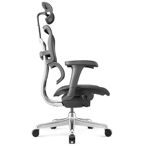 Scaun Ergonomic Ergohuman Project Genera Ia A A Cadru Negru W