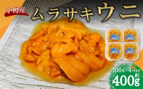 小樽産 ムラサキウニ 塩水生ウニ 100g×4パック 合計約400g 北海道小樽市 セゾンのふるさと納税