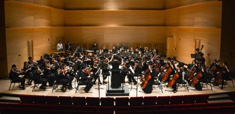 Nassau String Orchestra and Concert Orchestra at Adelphi University ...