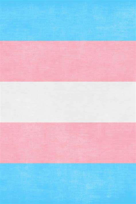 [100+] Trans Flag Wallpapers | Wallpapers.com