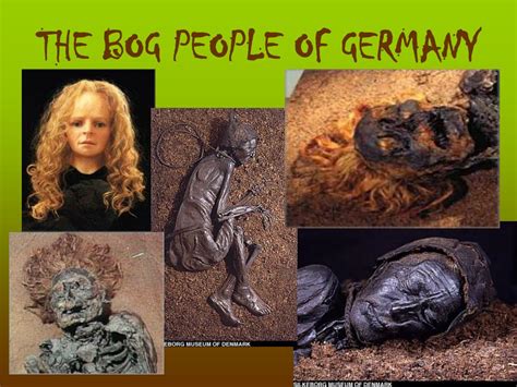 Ppt The Bog People Powerpoint Presentation Free Download Id176289