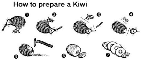 How To Prepare A Kiwi Meme Guy