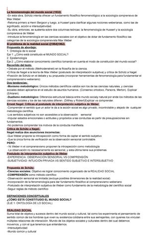 Schuster Accion y estructura en pol Ãtica y ciencias sociales