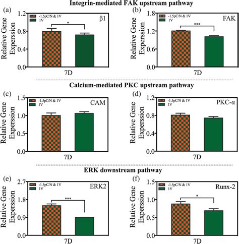 Gene Expression Of Osteogenesisrelated Signaling Pathways Under