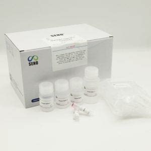 Oral Swab Genomic DNA Extraction Kit - DNA Testing Experts