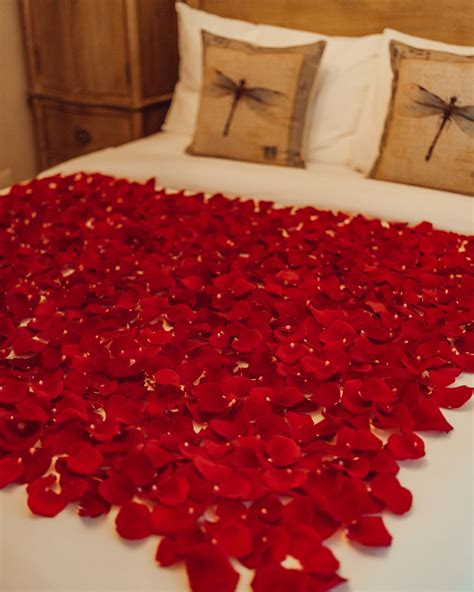 Rose Petals In Bedroom