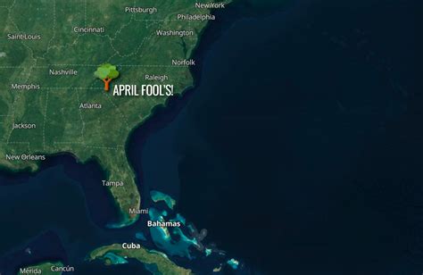 Sc Forestry Commission Crew Discovers Largest Tree On Earth South