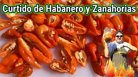 Descubrir 74 Imagen Chiles Habaneros Curtidos Receta Abzlocalmx