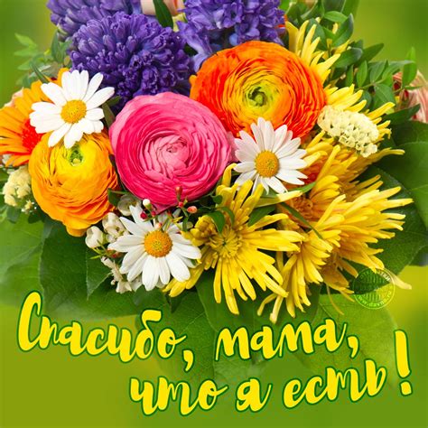 Мама Фото Есть — Фото