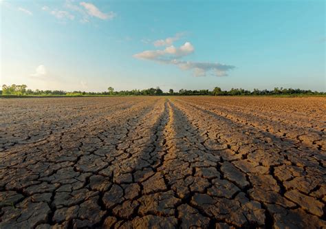 Essential topic update: The impact of drought on the water and carbon