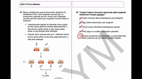 2018 TYT BİYOLOJİ SORU ÇÖZÜMLERİ YouTube