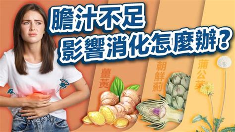 膽汁不足影響消化怎麼辦？ Eurohaus 歐洲屋