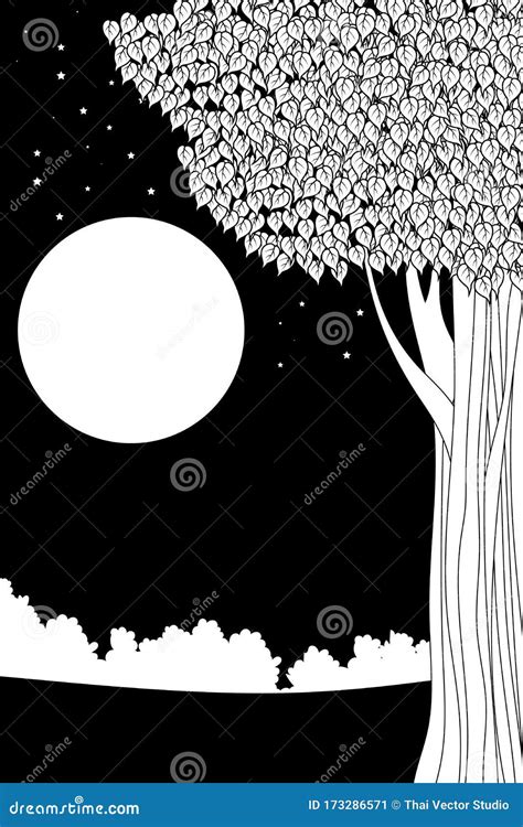 Black and White Color the Bodhi Tree Stock Illustration - Illustration ...