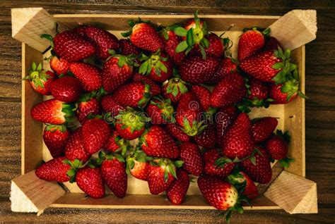 Fresas En Una Caja De Madera Foto De Archivo Imagen De Delicioso