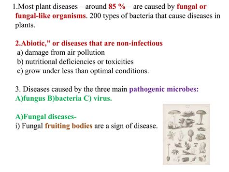 Signs and symptoms of plant disease | PPT | Free Download