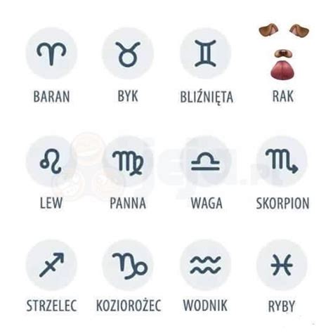 Znak Zodiaku 83 Najlepszych Memów Jejapl