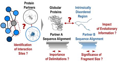 Fr D Ric Joliot Institute For Life Sciences Protein Protein