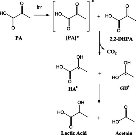 Oxaloacetic Acid Decomposition