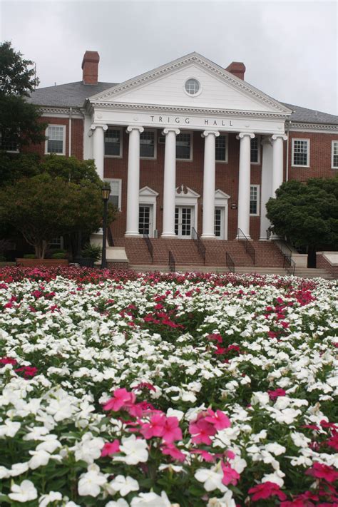 Best Places To Live In Maryland Eastern Shore at Abigail Hernandez blog