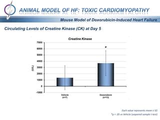 Nonclinical Models Of Heart Failure Doxorubicin Cardiomyopathy Ppt