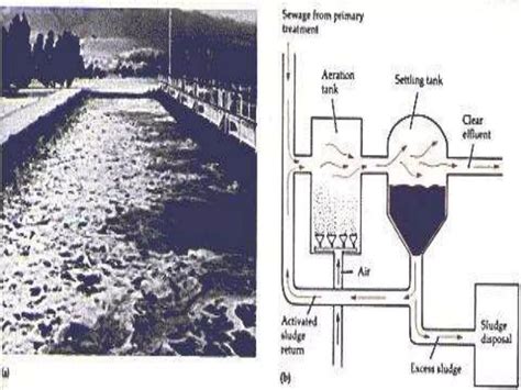 Modern Sewage Treatmentppt Free Download