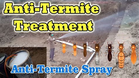 How To Do Anti Termite Treatment Anti Termite Spray YouTube